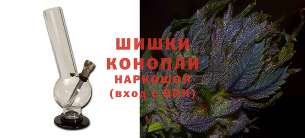 ГАЛЛЮЦИНОГЕННЫЕ ГРИБЫ Пестово