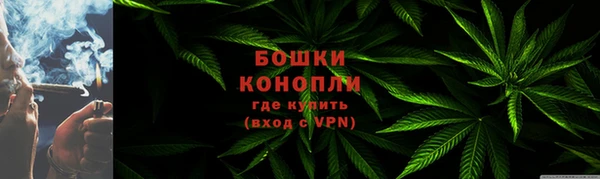 молекула духа Переславль-Залесский