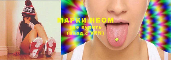 молекула духа Переславль-Залесский