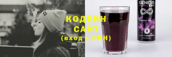 молекула духа Переславль-Залесский