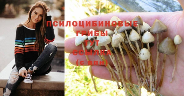 ГАЛЛЮЦИНОГЕННЫЕ ГРИБЫ Пестово