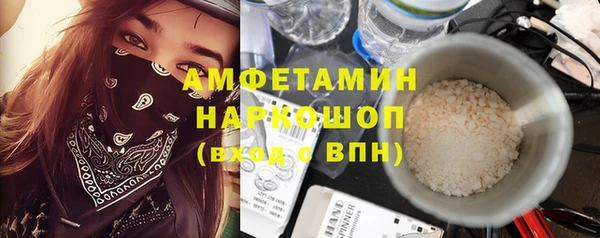 молекула духа Переславль-Залесский