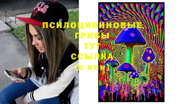 молекула духа Переславль-Залесский