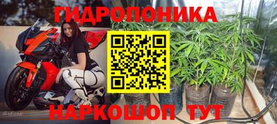spice Гусиноозёрск
