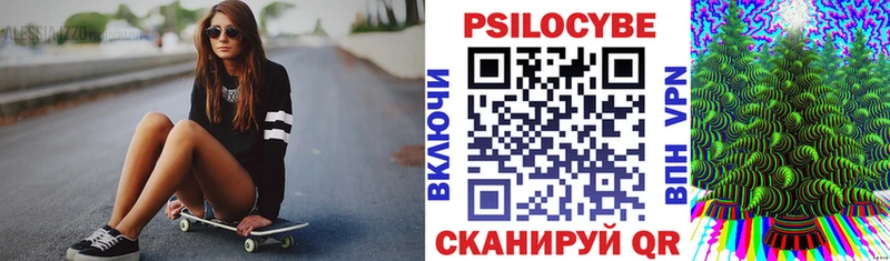 Галлюциногенные грибы Psilocybe  Ковров 
