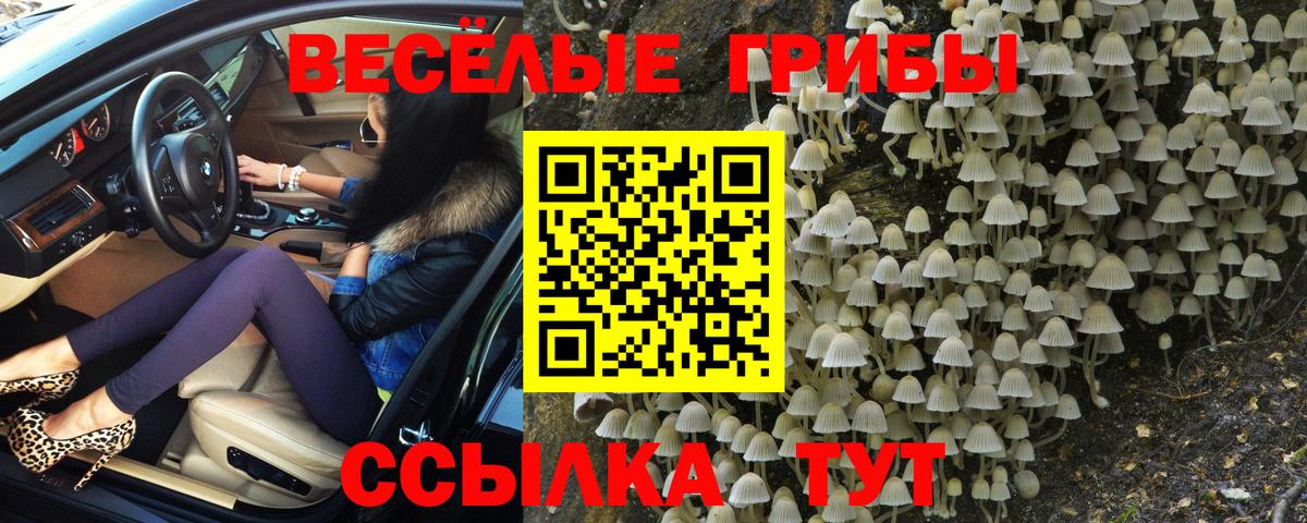 Галлюциногенные грибы Psilocybine cubensis  Вход с VPN  Ковров 