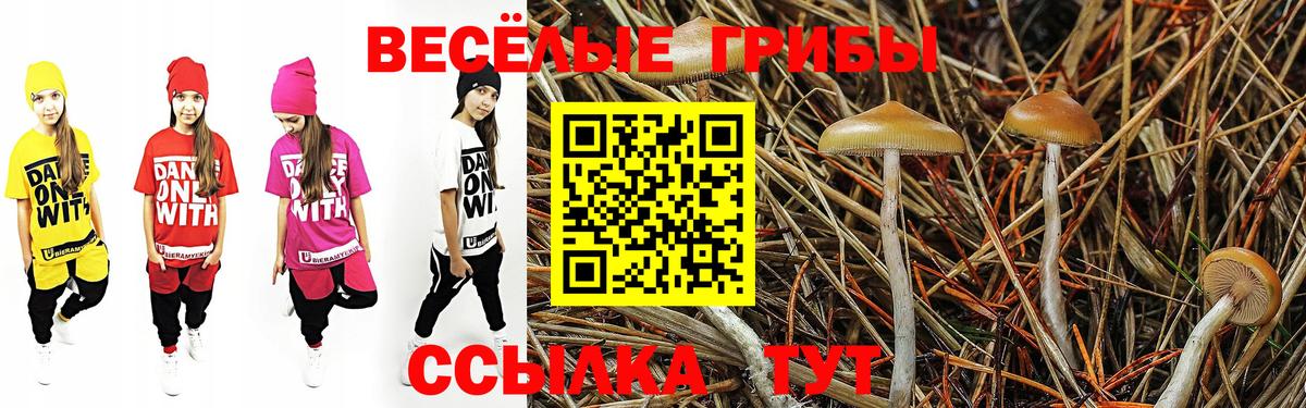 Псилоцибиновые грибы MAGIC MUSHROOMS Ковров