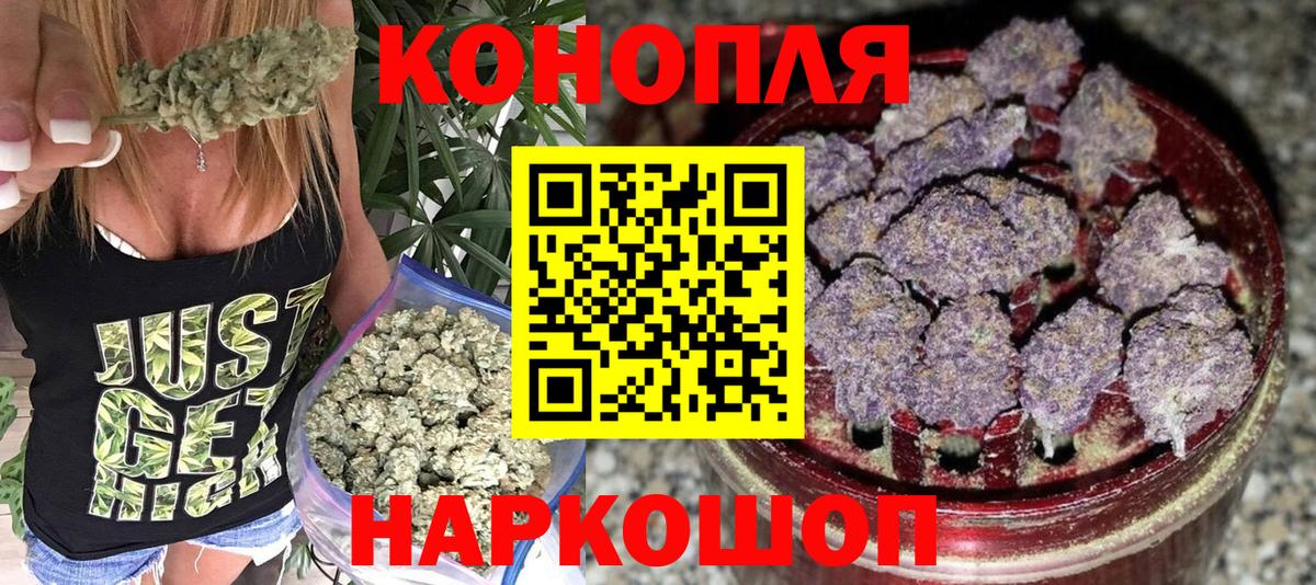 Каннабис сатива  Вход с VPN  Бошки Шишки гибрид  Бошки Шишки конопля  Марихуана семена  Ковров 
