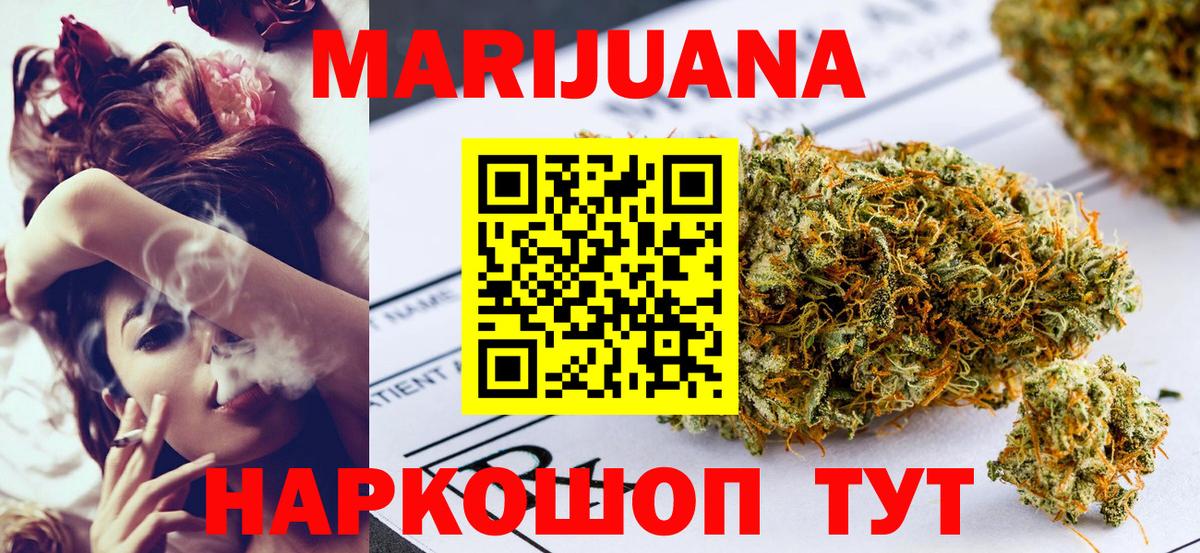 Конопля сатива Ковров